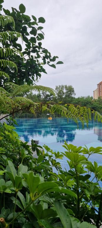 Bazén v ubytování Inap Ani Putrajaya nebo v jeho okolí