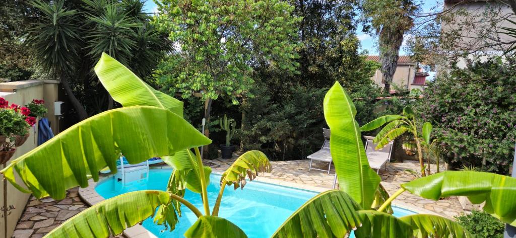 una piscina azul con plantas verdes al lado en Piero's Apartment en Carbonia