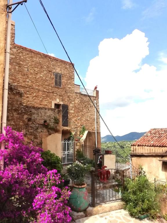 une maison avec des fleurs devant dans l'établissement A Torra, à Ville-di-Paraso