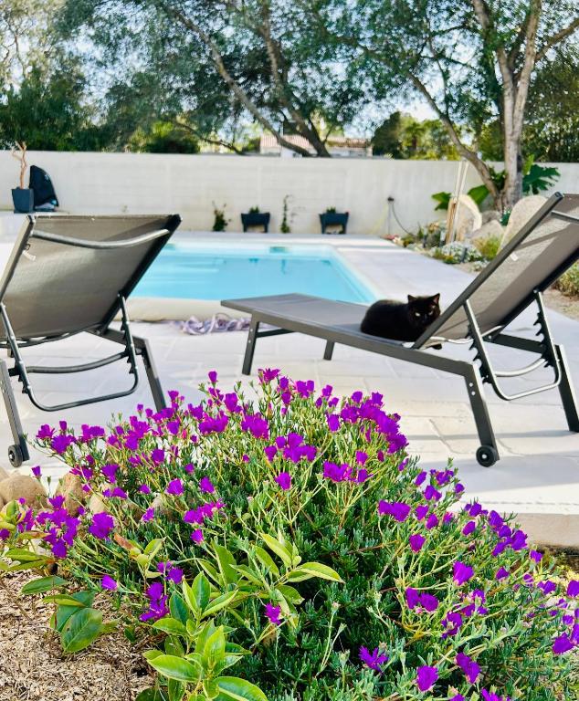 Bazén v ubytování Mini Villa Pascal Paoli avec piscine - proche mer nebo v jeho okolí
