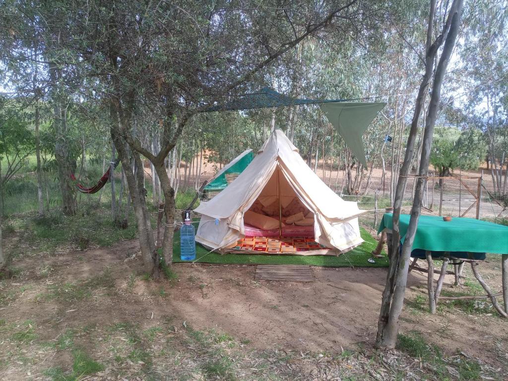 een witte tent met een groene luifel onder de bomen bij Libertatia in Donori