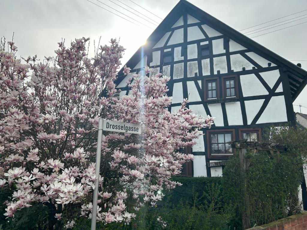 Zahrada ubytování Das Pautzen Haus
