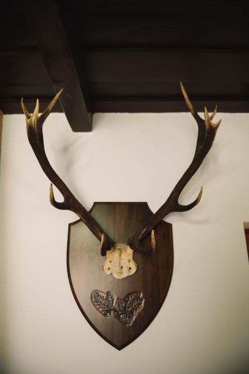 a deer skull and antlers hanging on a wall at Casa Vatra Sinteului - Cu sala de evenimente de capacitate mare - Se inchiriaza integral in Socet