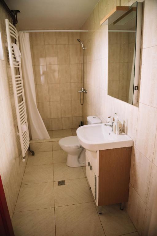 a bathroom with a sink and a toilet and a shower at Casa Vatra Sinteului - Cu sala de evenimente de capacitate mare - Se inchiriaza integral in Socet