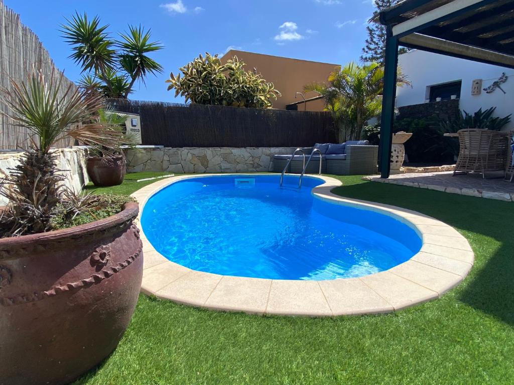 een klein zwembad in een tuin bij Casa Rosalía in Corralejo