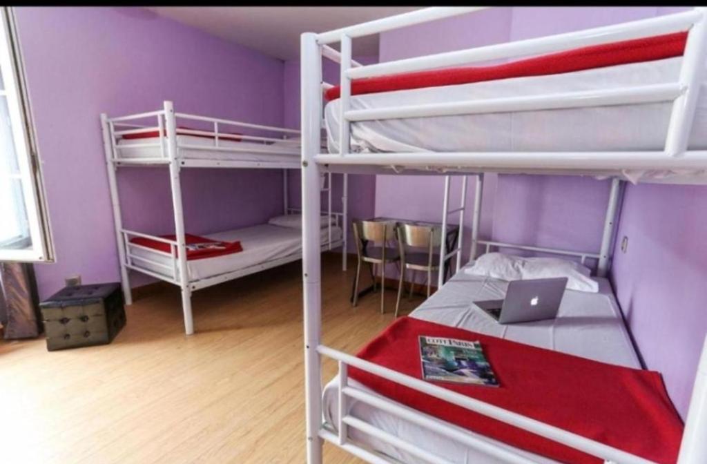 Pokój z 2 łóżkami piętrowymi i laptopem w obiekcie House Of Touristers Hotel & Cafe w mieście Dżajpur