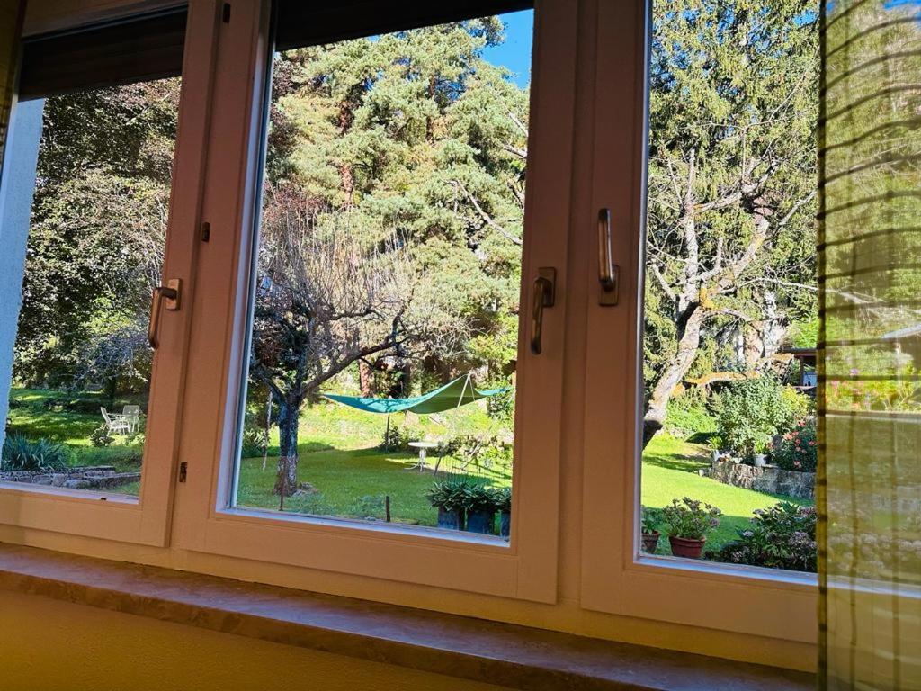 a window with a view of a green yard at Gemütliche Unterkunft in Baden-Baden direkt am Schwarzwald in Baden-Baden