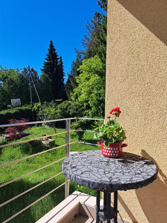 Vonkajšia záhrada v ubytovaní The John Rand Suite