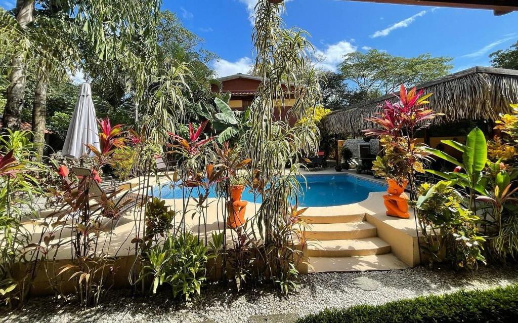 un jardín con piscina y algunas plantas en Samara Palm Lodge en Sámara