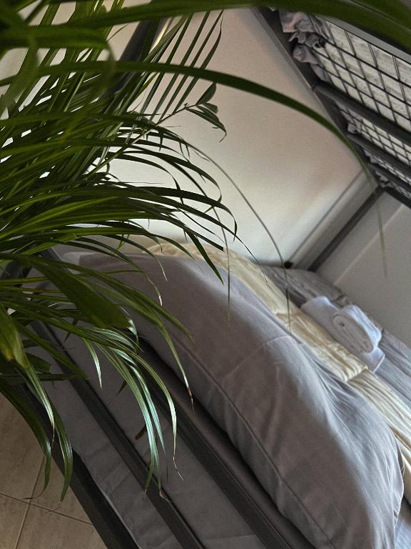 Postel nebo postele na pokoji v ubytování Hostel by Fenix Tirana