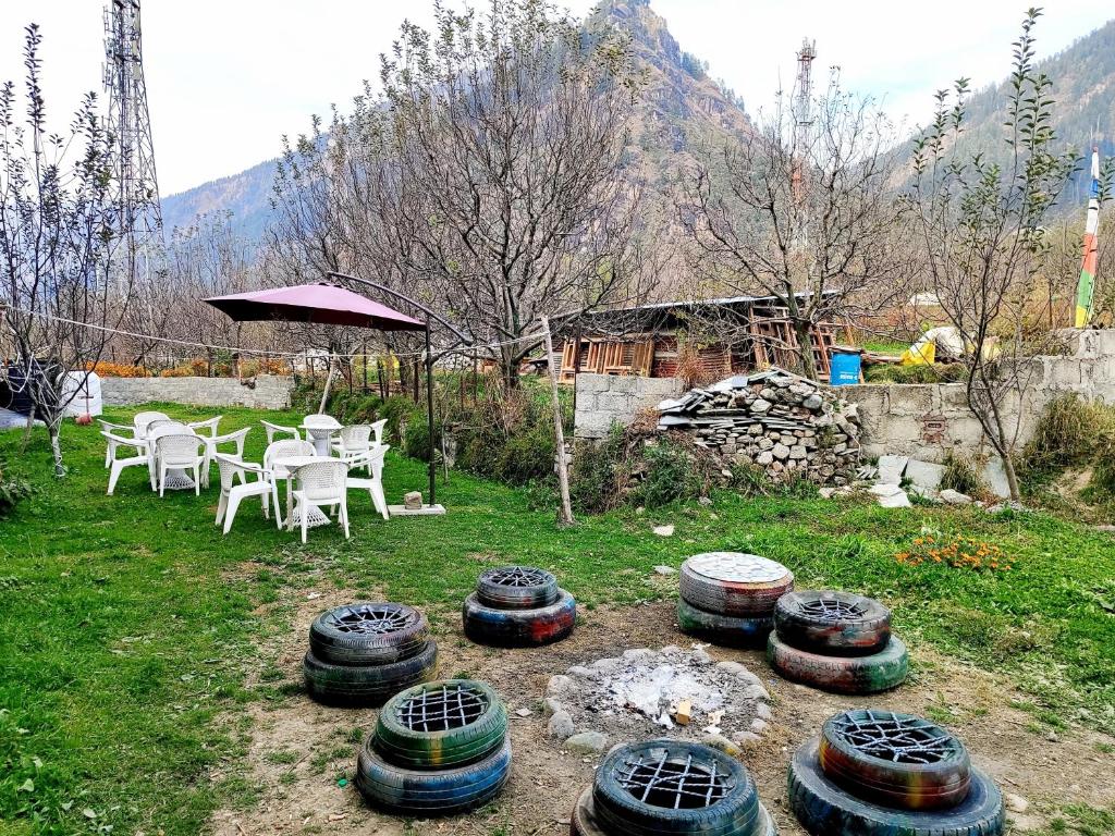 a group of tires sitting on the grass in a yard at Hotel Raj Palace Manali in Manāli
