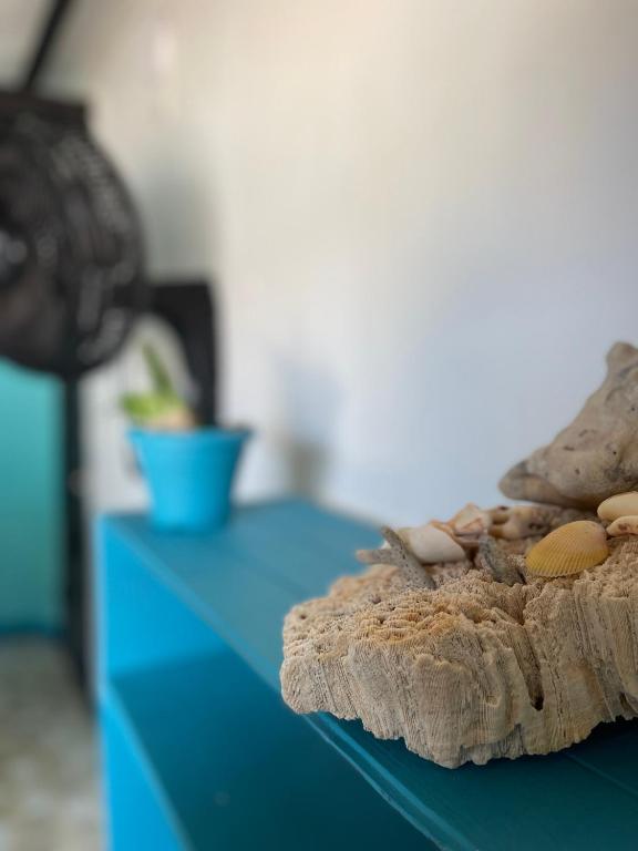 Fotografie z fotogalerie ubytování Palenque Beach House v destinaci San Onofre