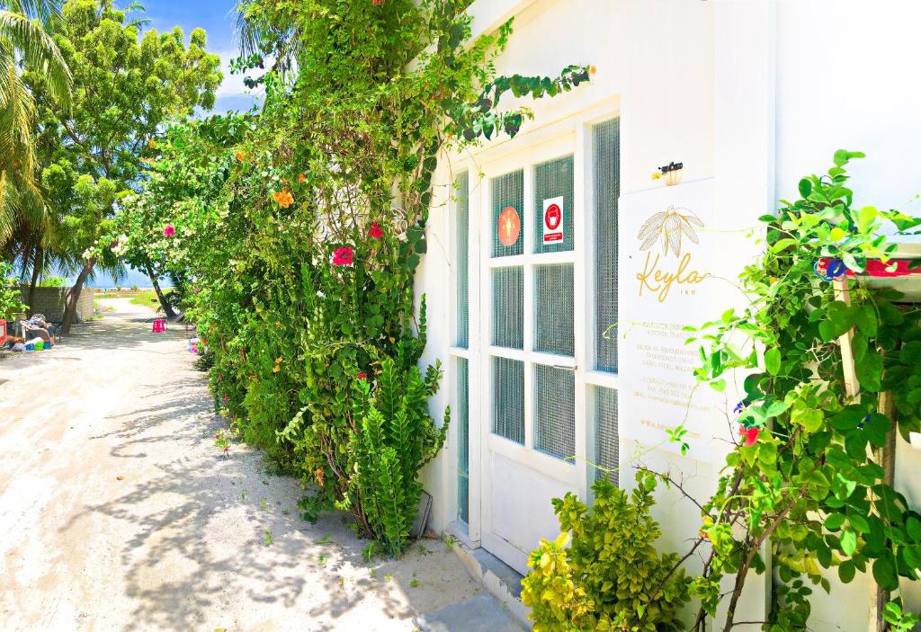 a white building with a window and plants on it at Keyla Inn in Thulusdhoo