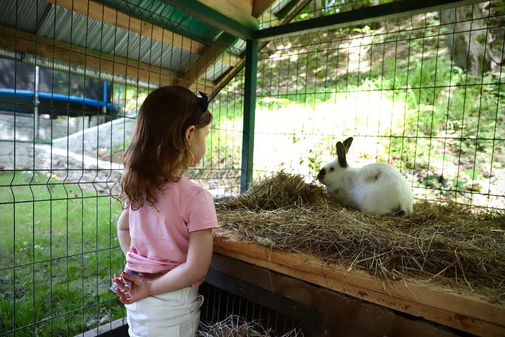 Zvířata v prázdninového areálu nebo okolí