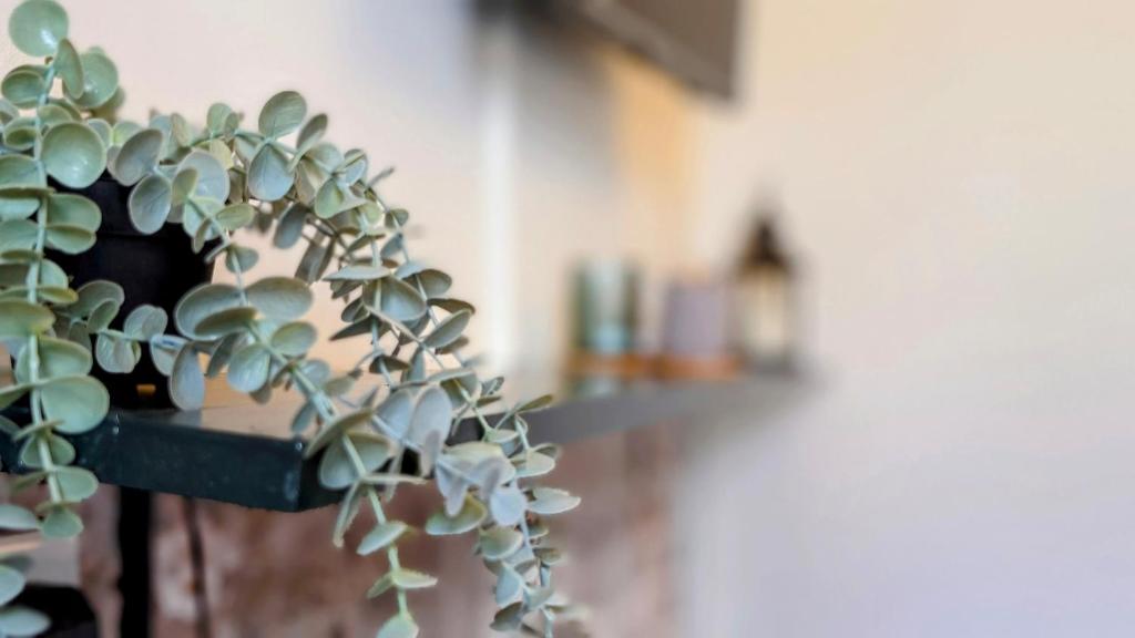 INNit Bliss - Resim 16