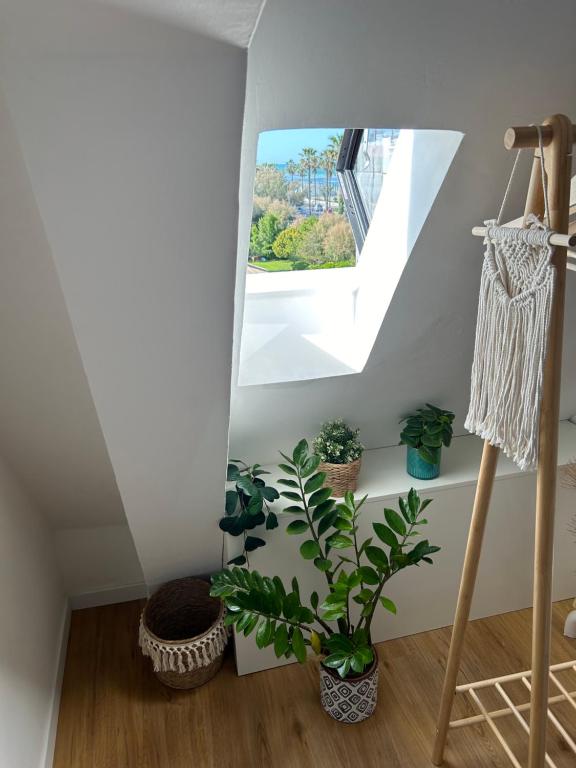 a room with a staircase with plants and a window at La Mansarda sul Mare in Montesilvano