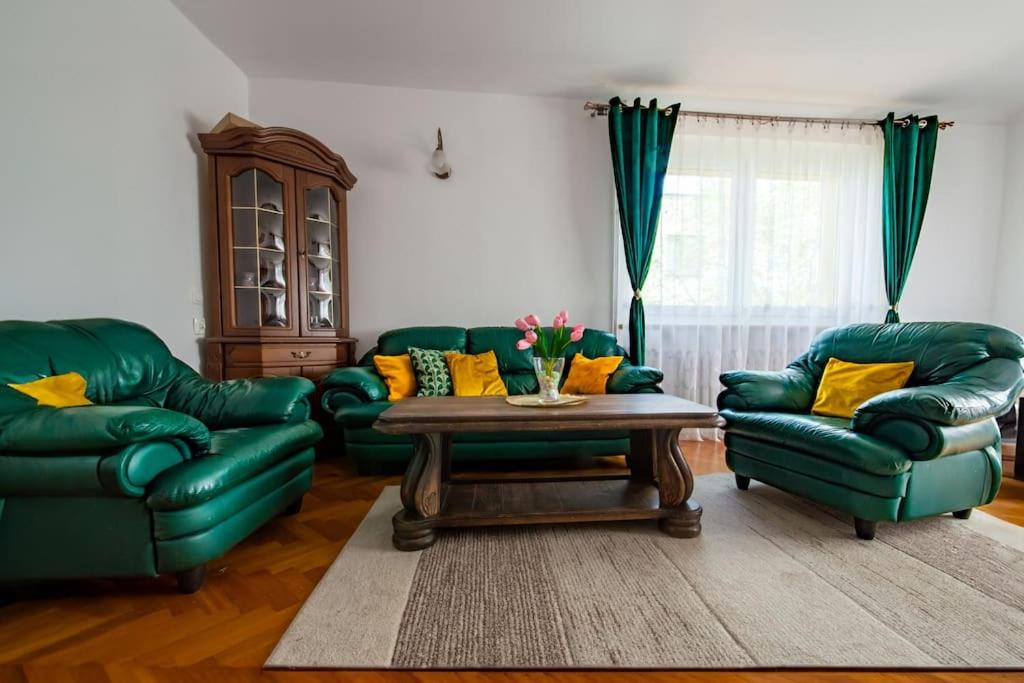 - un salon avec deux canapés verts et une table basse dans l'établissement Duże mieszkanie, ogród i parking, à Radwanice