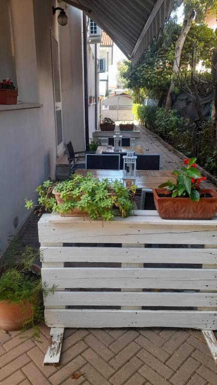 Zahrada ubytování Villa Liberty Versilia