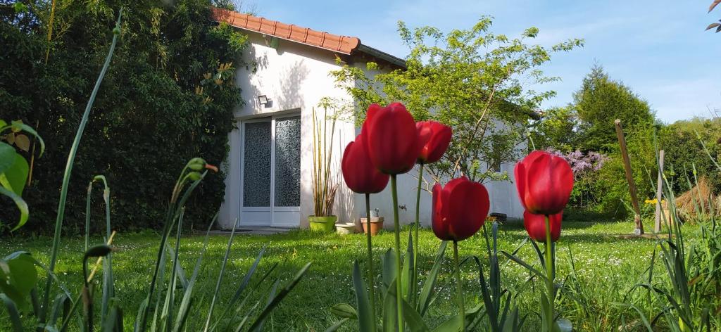 un grupo de tulipanes rojos delante de una casa en La Petite Maison en Saint-Rémy-lès-Chevreuse
