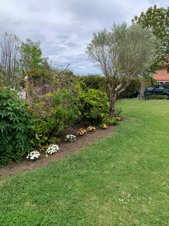 A garden outside Posada El Jardin de Angela