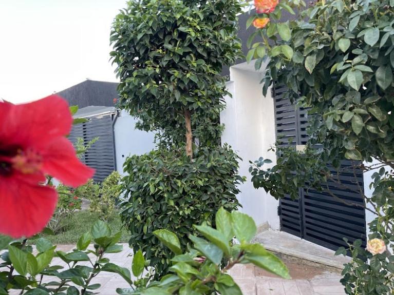 une fleur rouge devant un bâtiment blanc dans l'établissement Corner of Paradise 4 bedrooms with private pool Yasmine Hammamet, à Hammamet