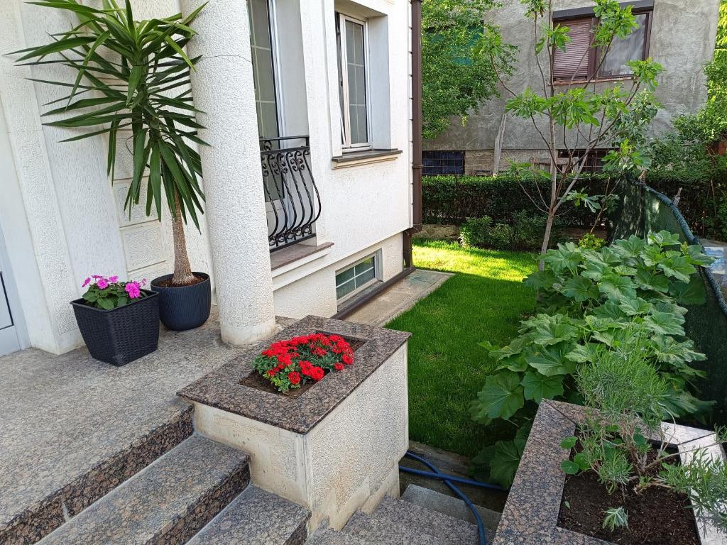 Zahrada ubytování Vila Sentić