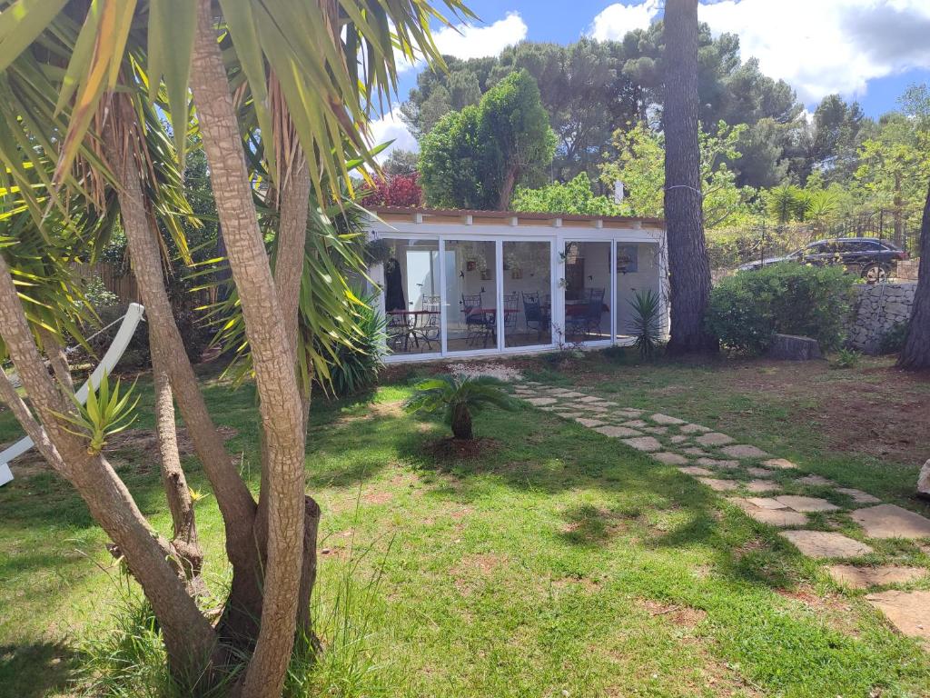 ein Haus mit einer Palme im Hof in der Unterkunft Villa don peppe in Selva di Fasano