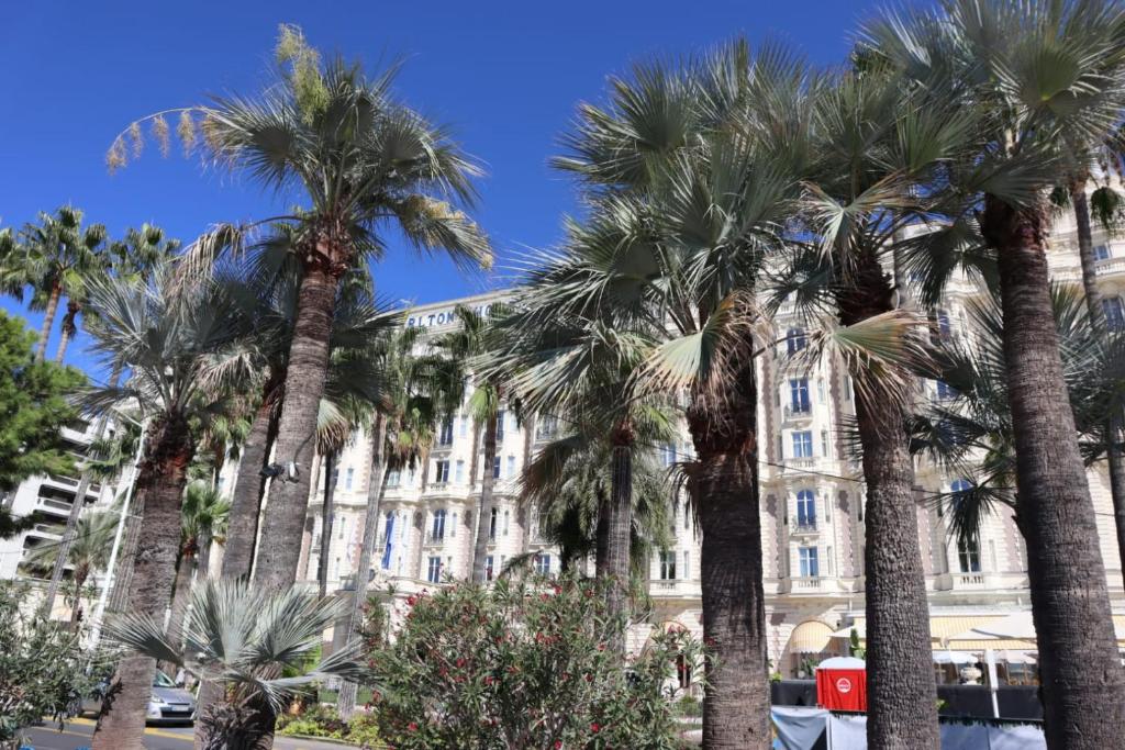 Fotografia z galérie ubytovania L'incontournable Tout Confort Camping Siblu v destinácii Fréjus