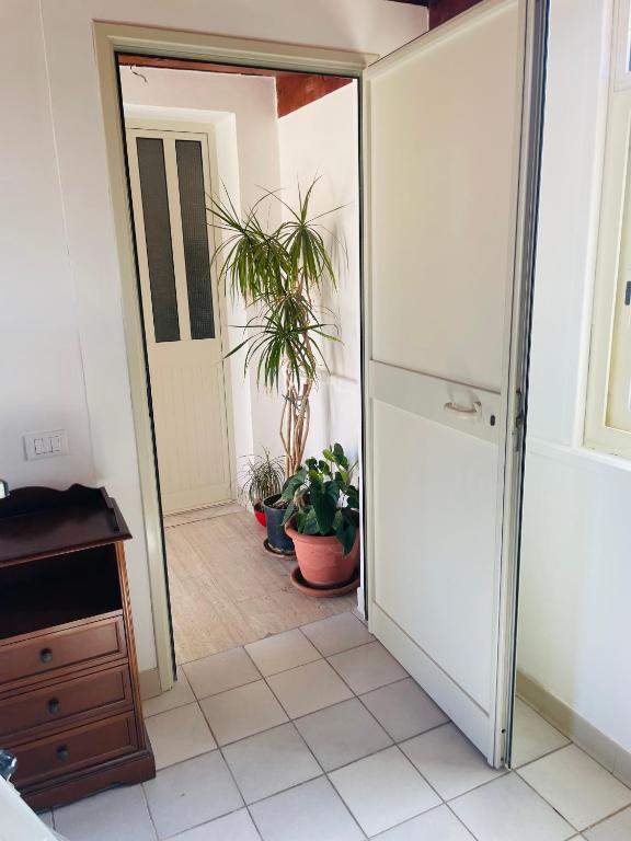 una puerta abierta a una habitación con plantas en una habitación en Hmora, en Villaggio Mosè