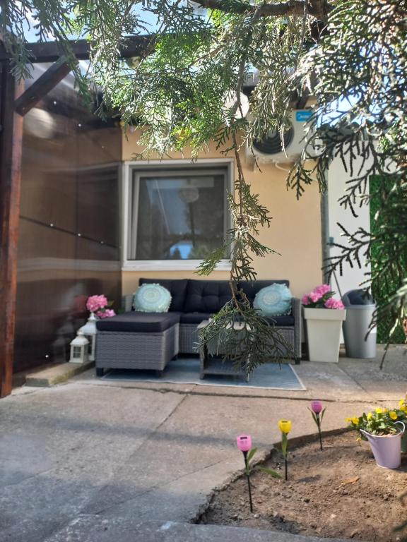 Κήπος έξω από το Apartman 2023