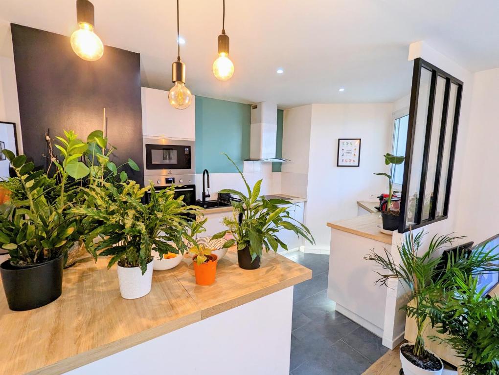 Photo de la galerie de l'établissement Cosy spacieux appartement balcon - Ourcq Paris 19, à Paris