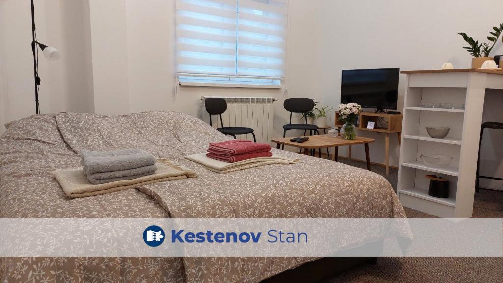 een slaapkamer met een bed met 2 kussens erop bij Studi-apartman Kestenov stan in Vršac