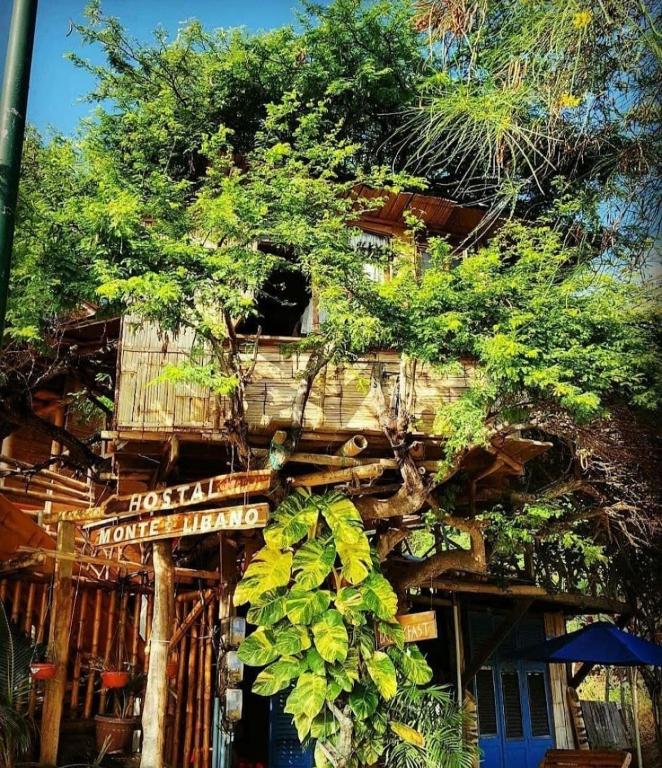 Zahrada ubytování hostal Monte Libano
