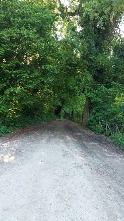 a dirt road with trees on the side of it at Il casale di Pino e Rita in Subiaco
