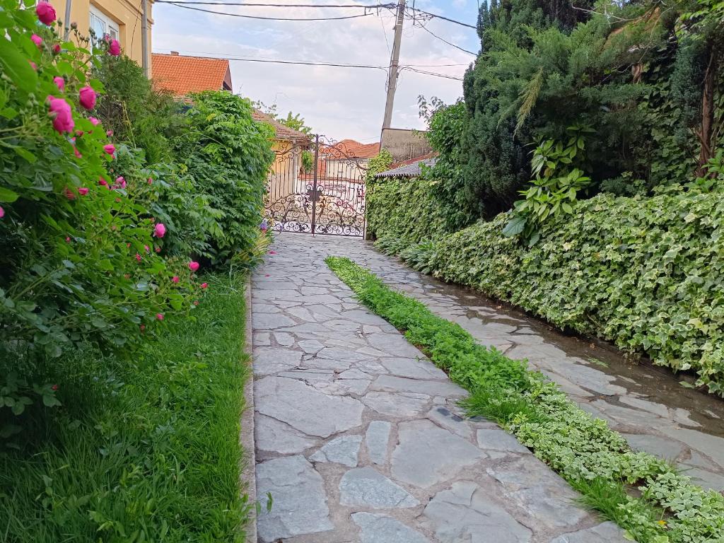 Zahrada ubytování Vila Sentić