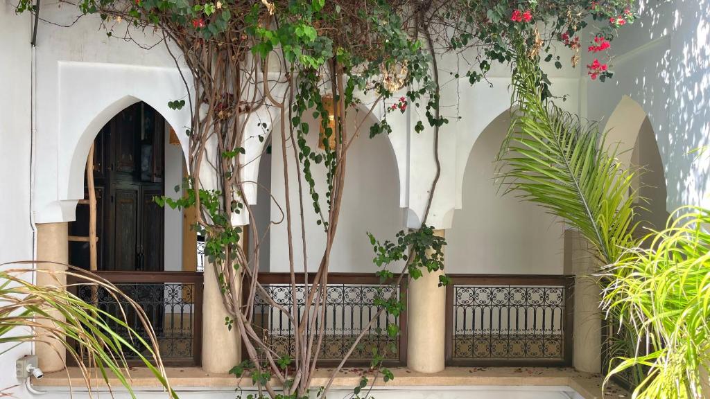 Zahrada ubytování Riad Dar Zaman