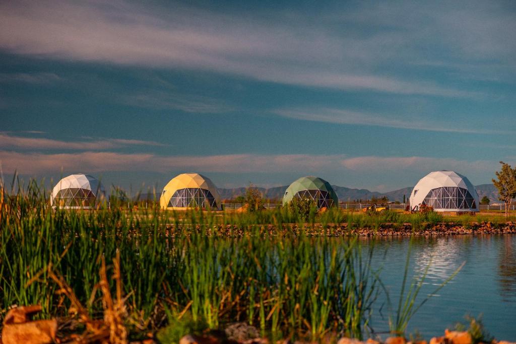 Příroda nedaleko luxury tent
