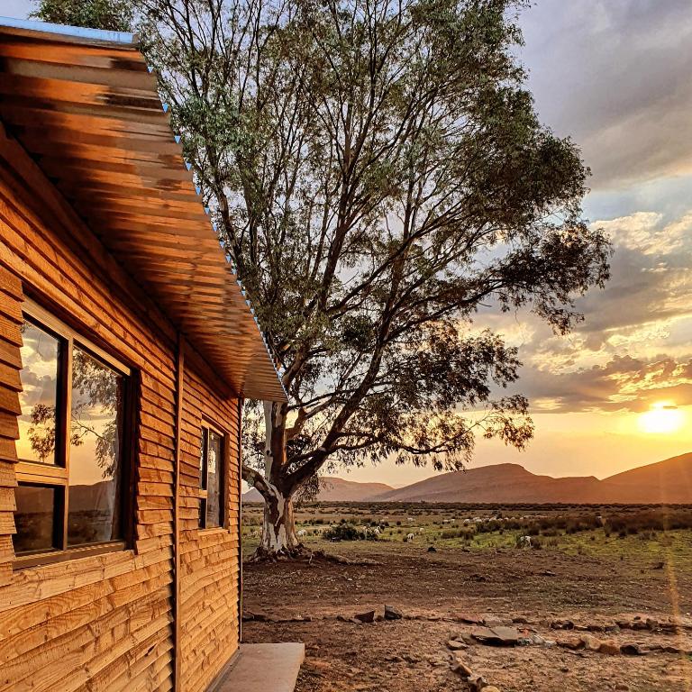 a log cabin with a tree and the sunset at Die Bloekomhuis in Ceres