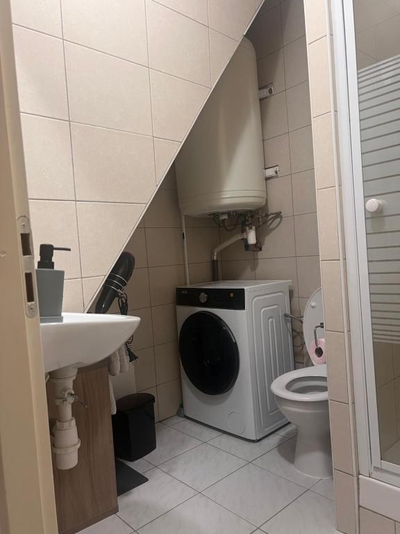 a bathroom with a washing machine and a toilet at Appartement Douceur in Horbourg