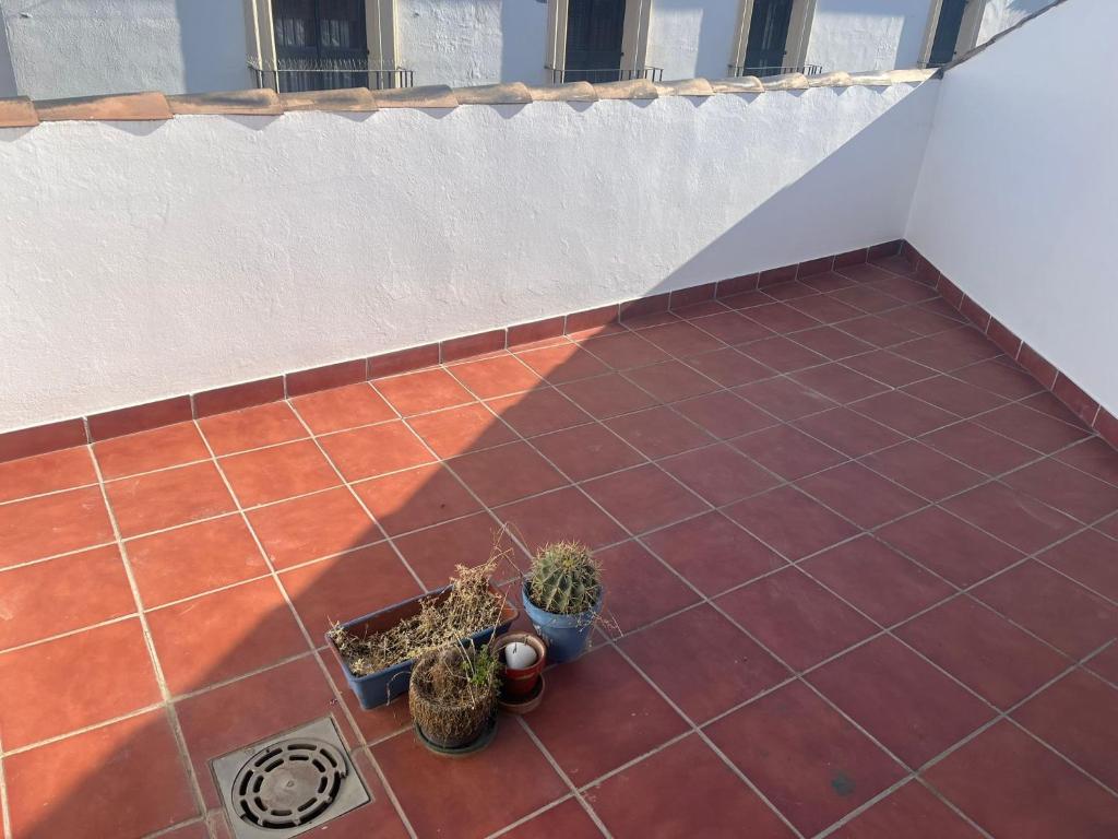 una vista elevada de un patio con macetas en La Casa del Tambor, en Córdoba
