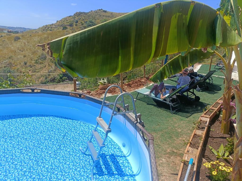 a swimming pool with a large banana tree next to it at Glamping Finca el Olivo in Mijas