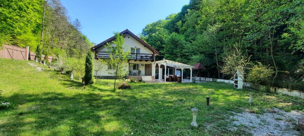 una piccola casa in mezzo a un cortile di Casa Licurici a Govăşdia