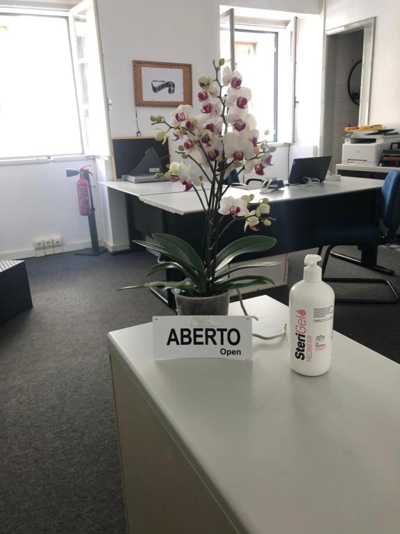 an office with a vase of flowers on a desk at Tenda Photok Camping Reception in Funchal