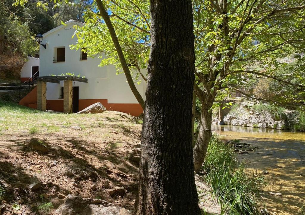 a house in the middle of a river with trees at Casa rural Molino Jaraiz in Yeste