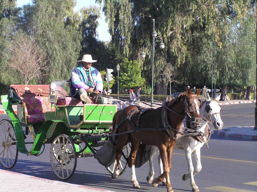 Hosté ubytování Riad N10