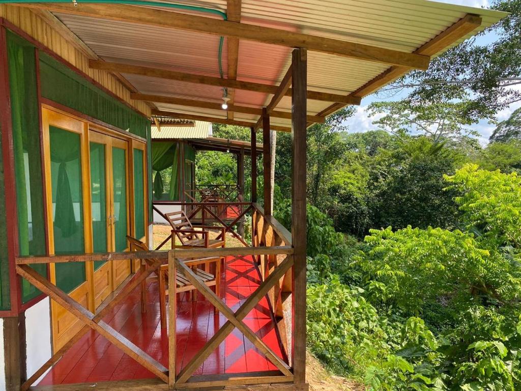 a screened porch of a house with a roof at Amazon Açaí Lodge in Leticia