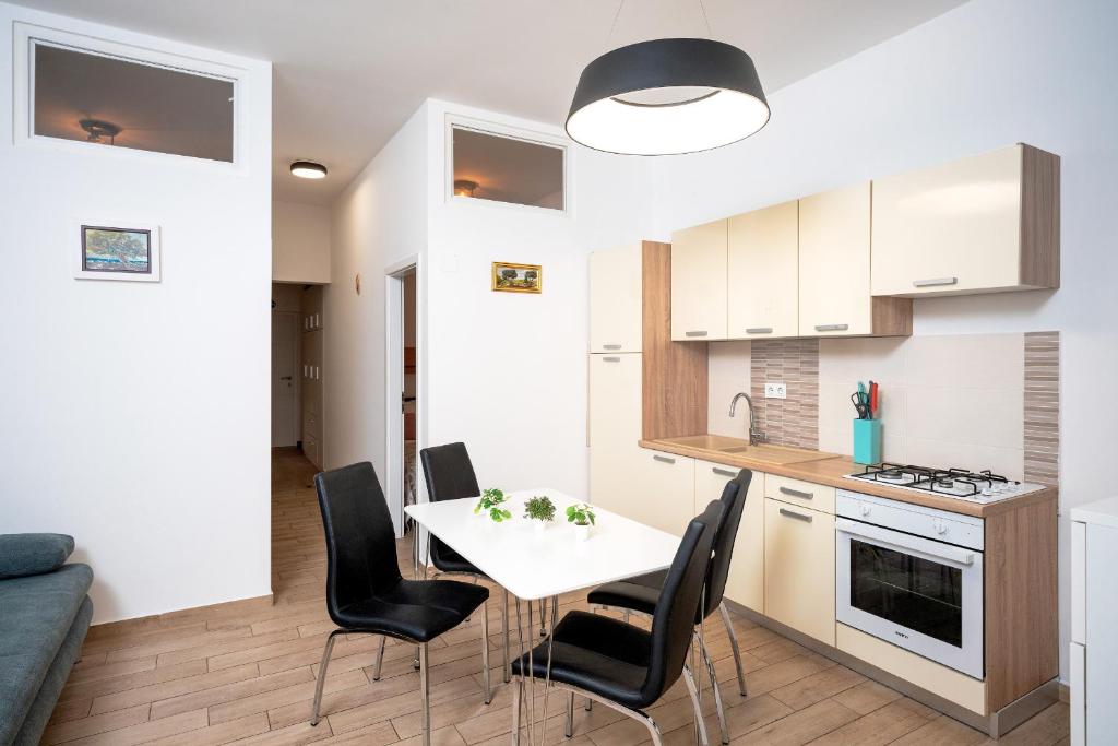 Кухня или мини-кухня в Villa Rajski Dvor
