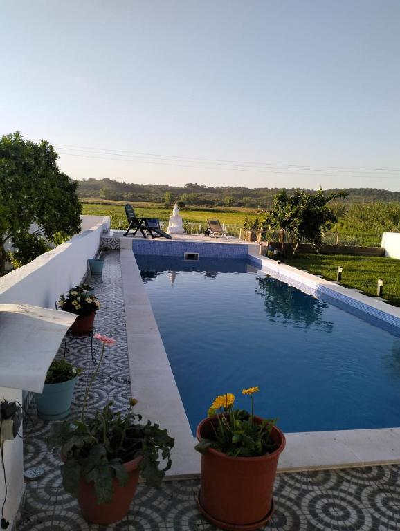 una piscina con piante in vaso su un patio di Casa Alentejana a Mora