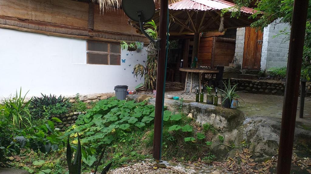 Zahrada ubytování Sierra Tayrona hostel