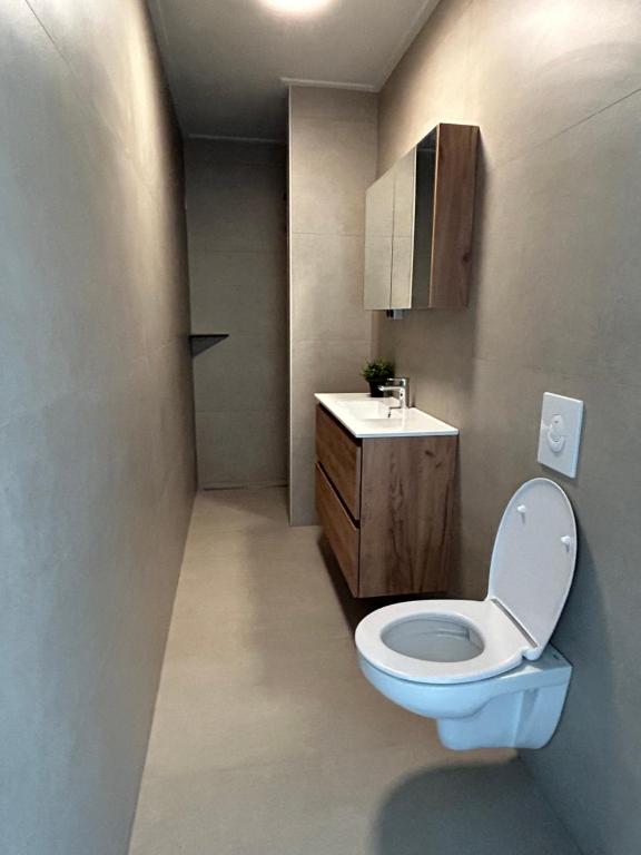 a bathroom with a toilet and a sink at Buitenplaats Ureterp in Ureterp